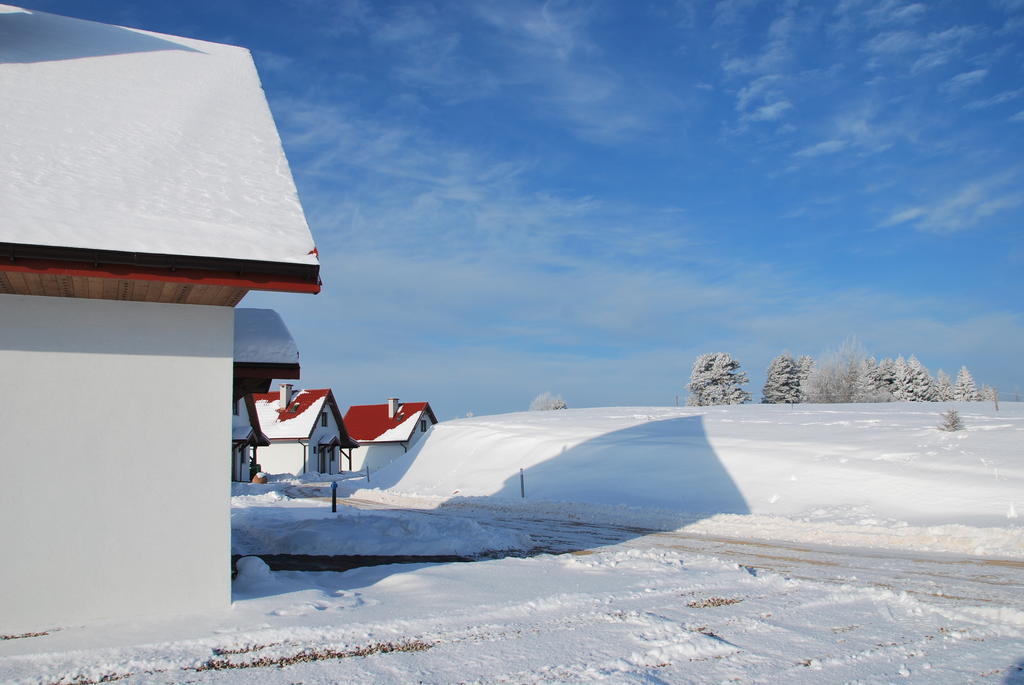 Hotel Szarejkowe Wzgorza Szarejki Esterno foto
